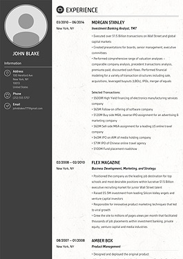 Resume Vienna template